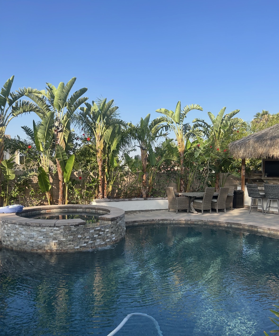 Recent landscaping project 2