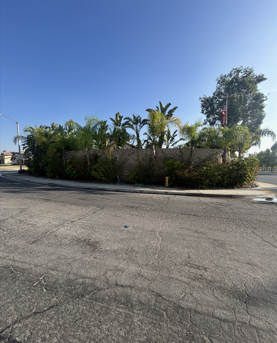 Recent landscaping project 3