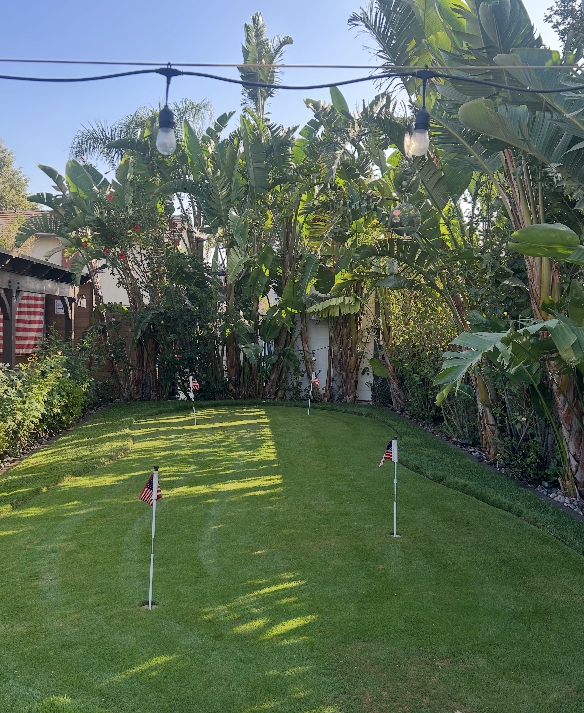 Recent landscaping project 6