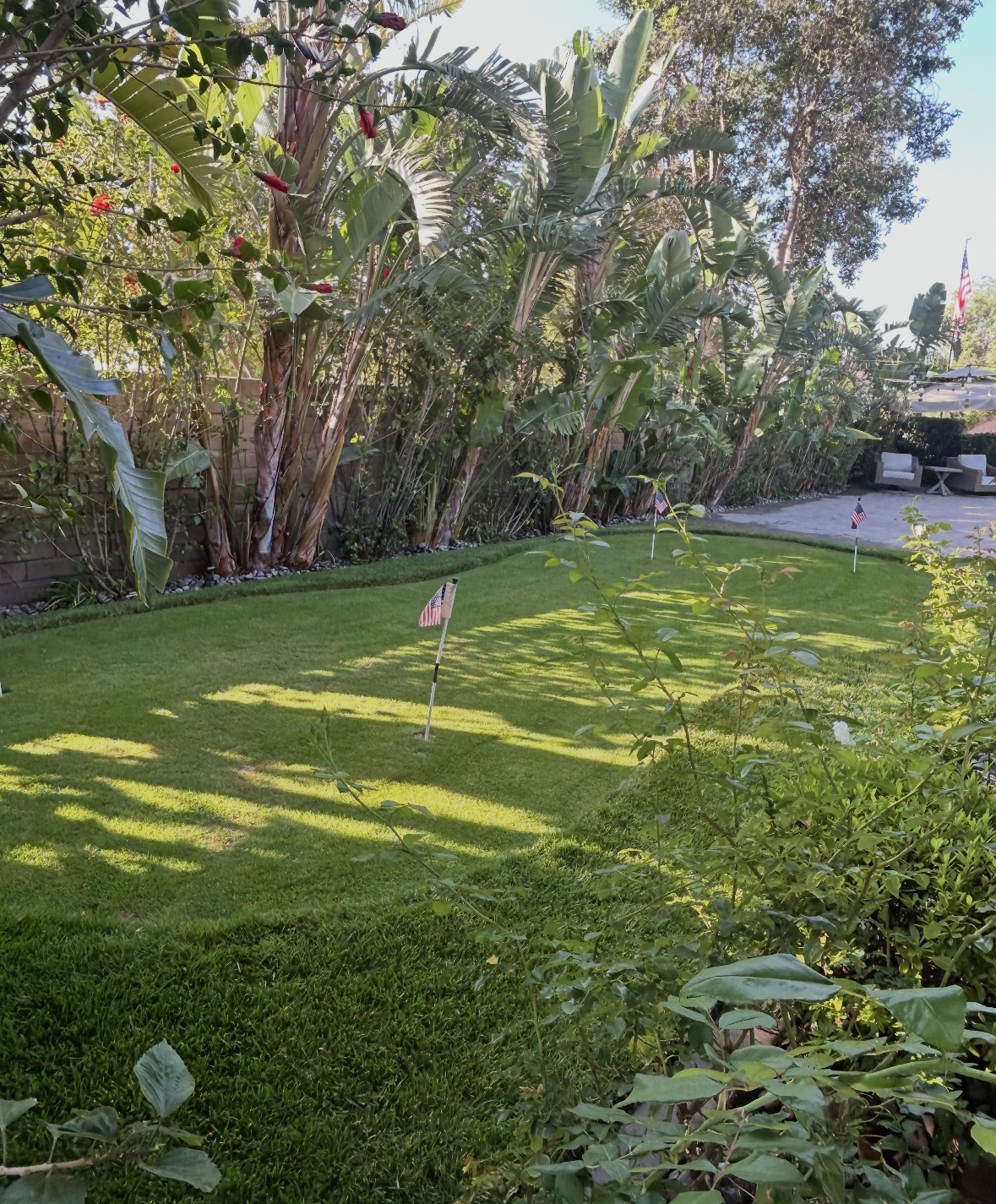 Recent landscaping project 7