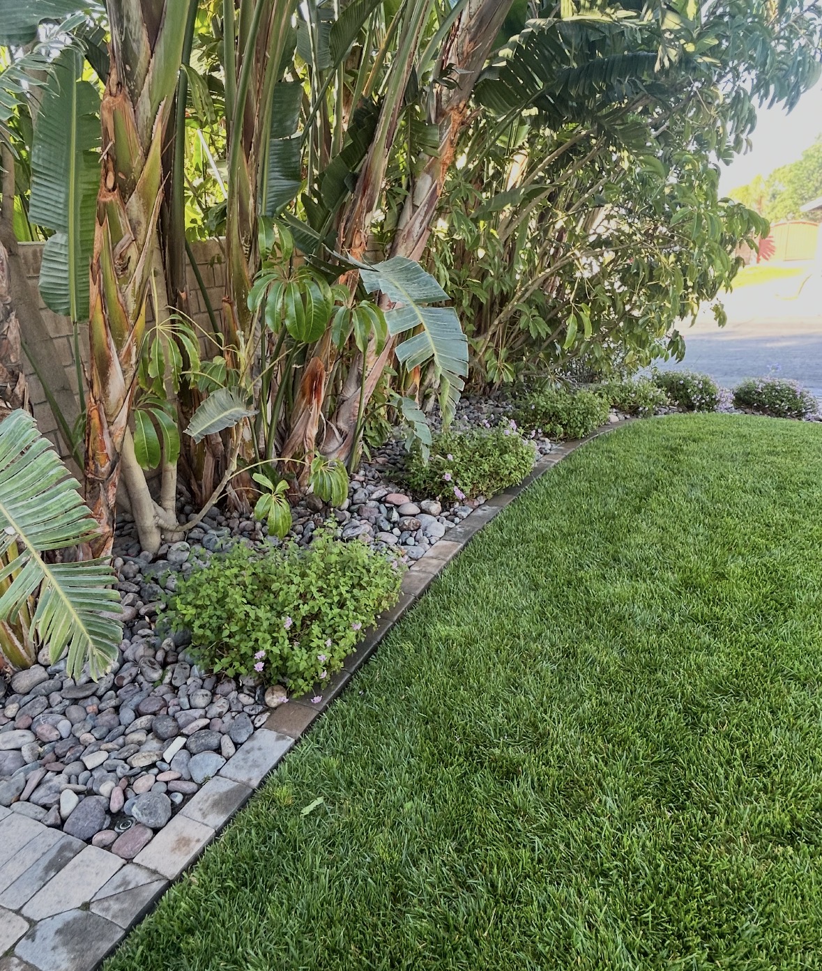 Recent landscaping project 1