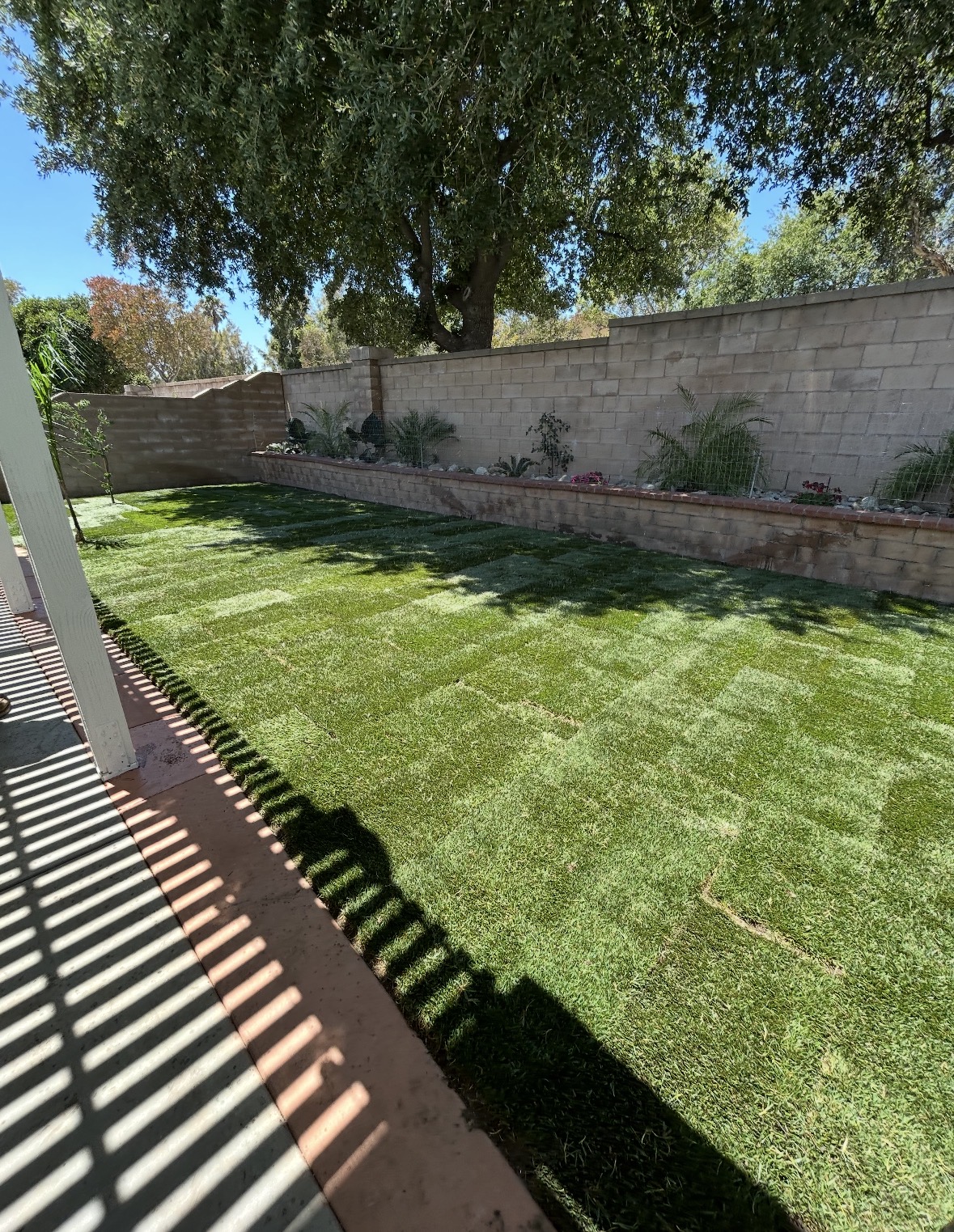 Sod Installation
